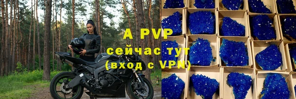 стаф Покровск