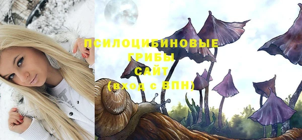 стаф Покровск