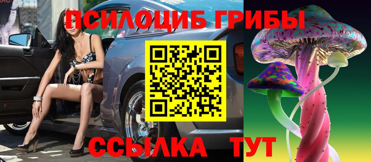 Галлюциногенные грибы Psilocybe Тихорецк